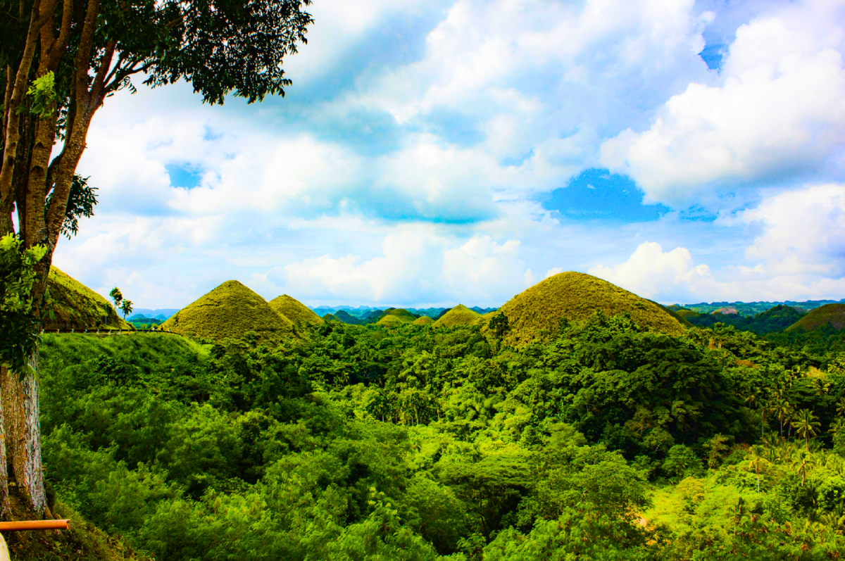 bohol.png