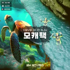 모캐팩