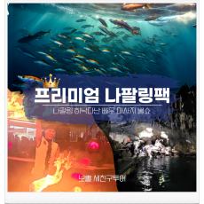 프리미엄나팔링팩