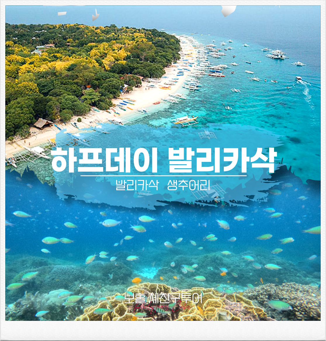 하프발리카삭팩