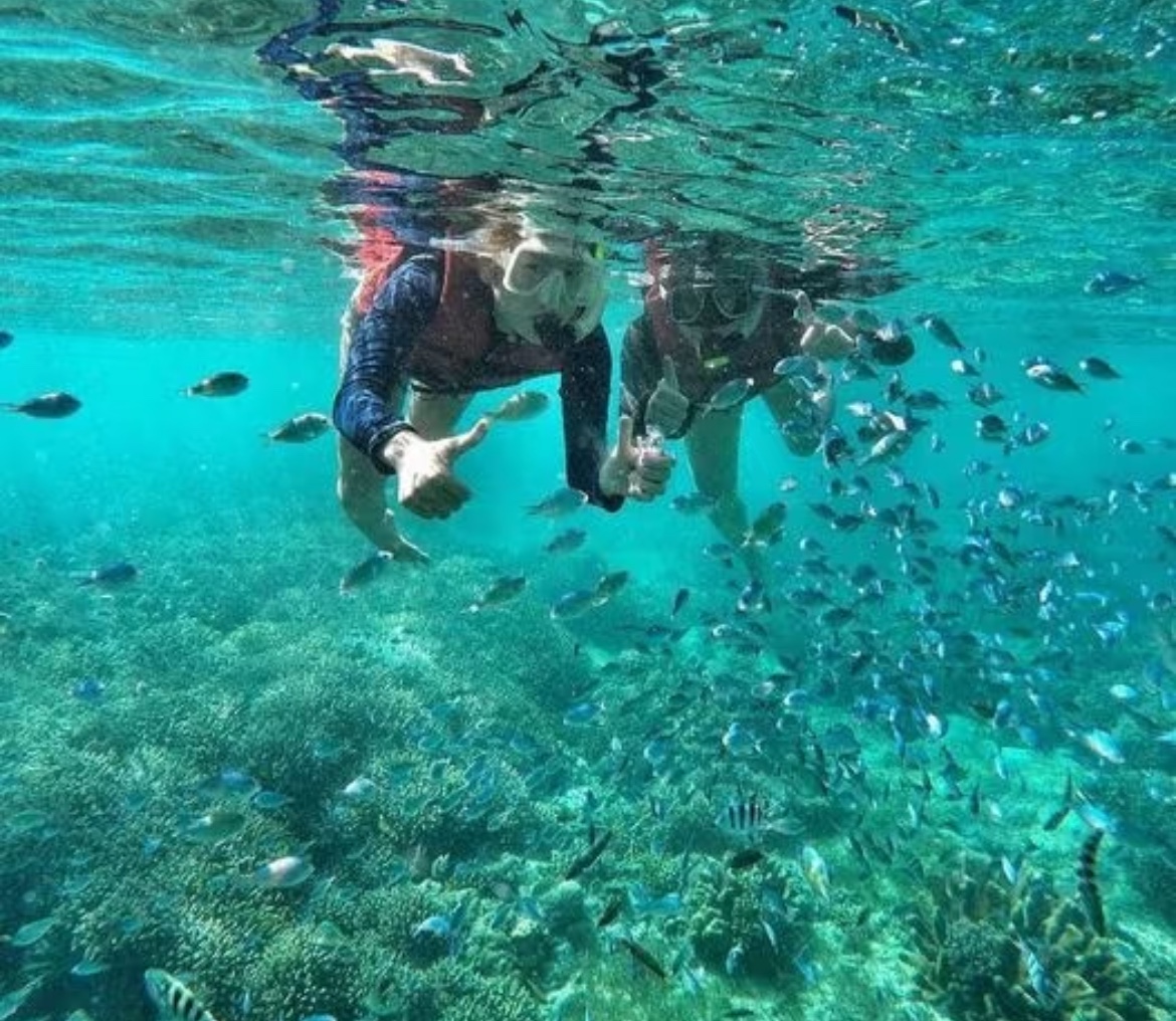 하프발리카삭팩