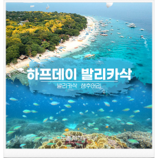 하프발리카삭팩