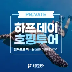 하프데이 발리카삭