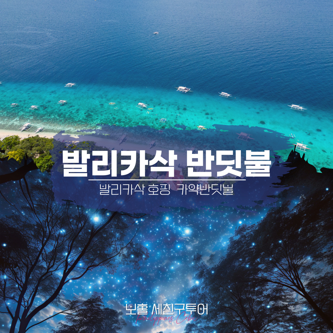 원데이 호핑반딧불