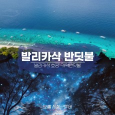 원데이 호핑반딧불