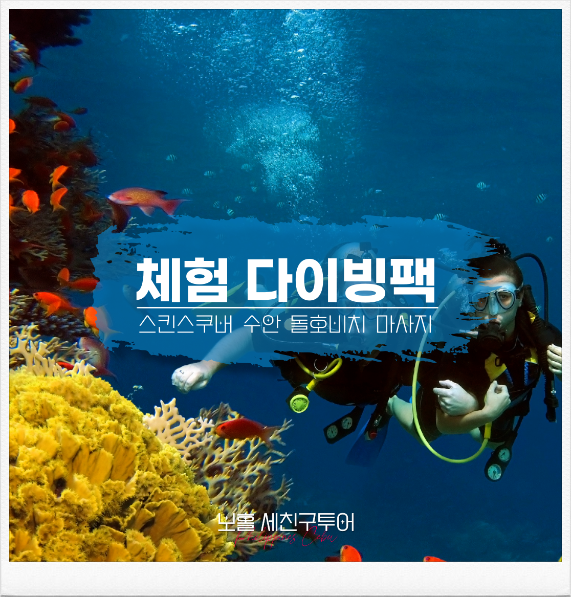 원데이 다이빙팩