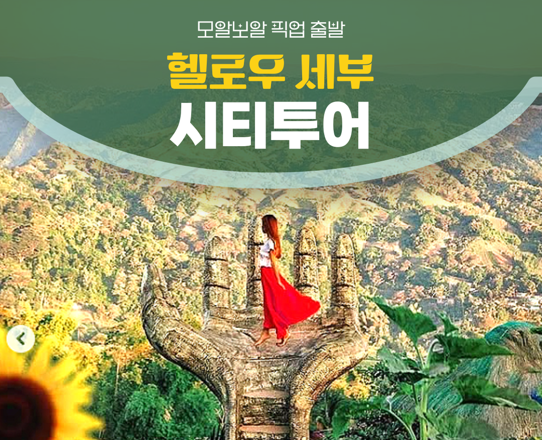 모알보알 TO 세부시티투어