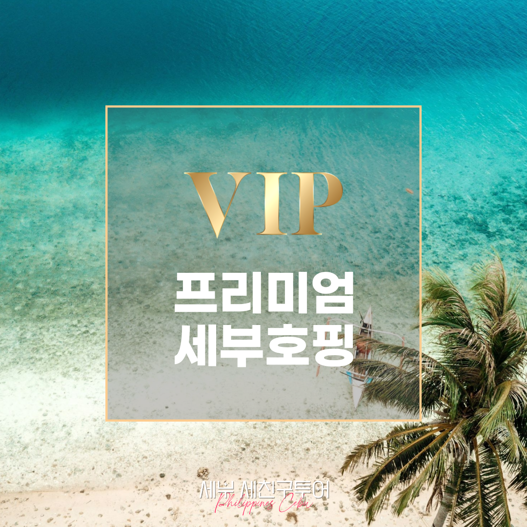 프리미엄세부호핑