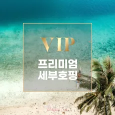 프리미엄세부호핑