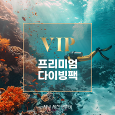 프리미엄다이빙팩